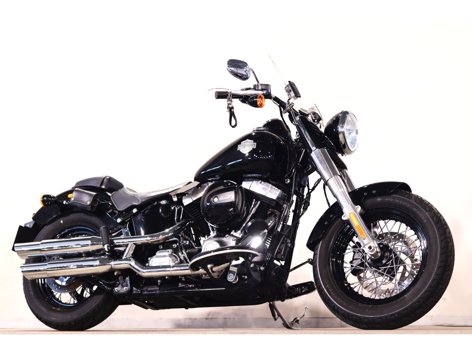 HARLEY-DAVIDSON FLS