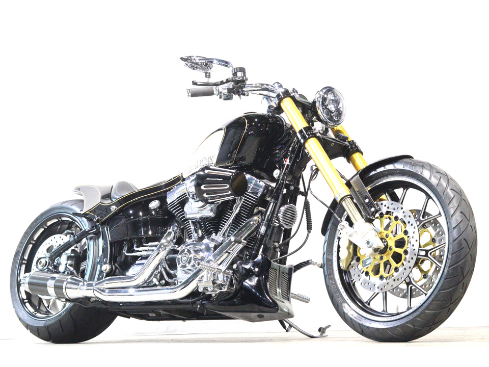 HARLEY-DAVIDSON FXSB