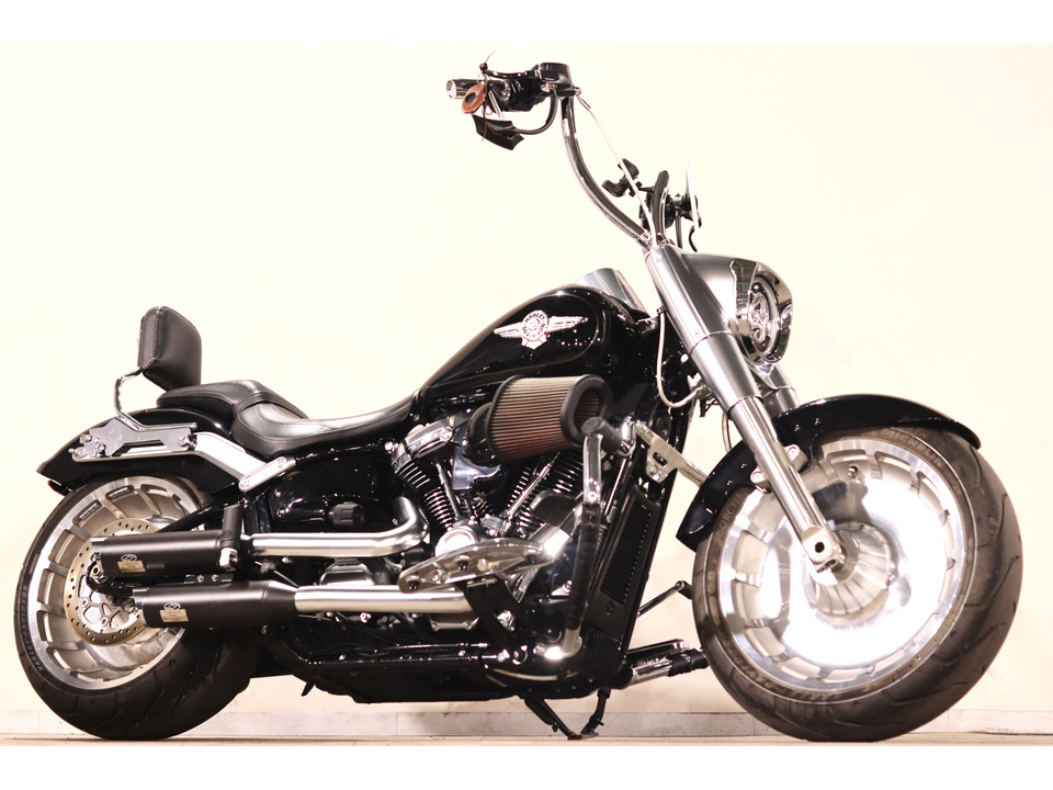 HARLEY-DAVIDSON FLFB