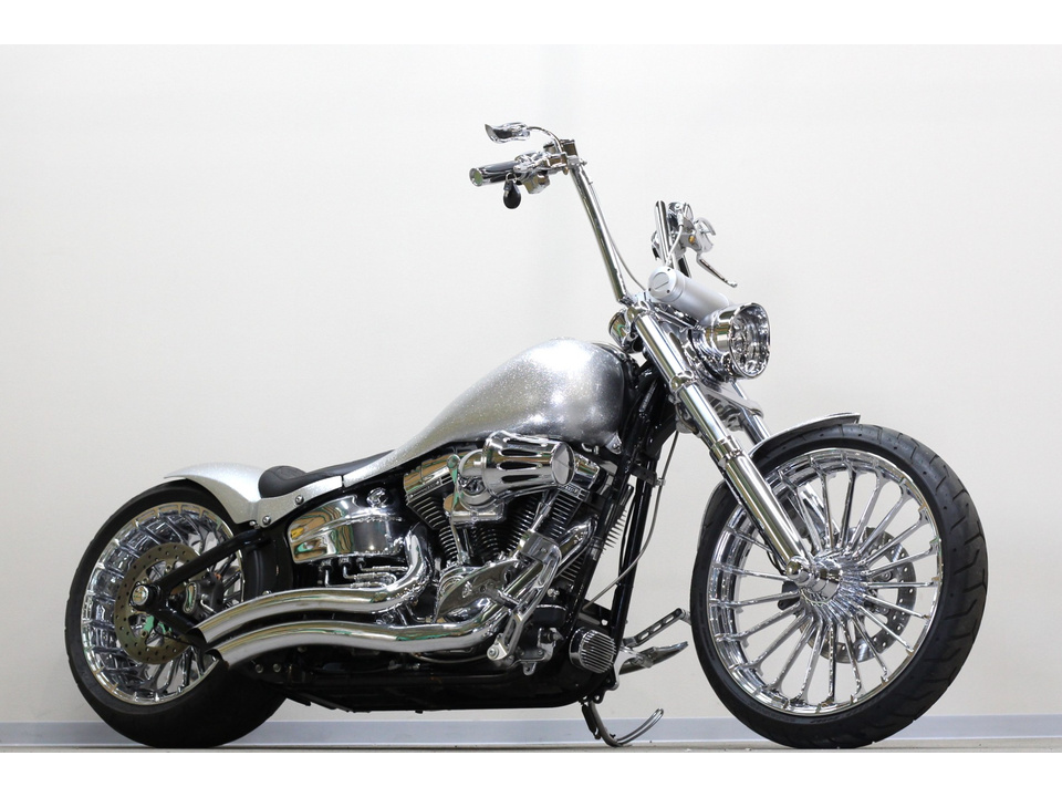 HARLEY-DAVIDSON FXSBSE CVO