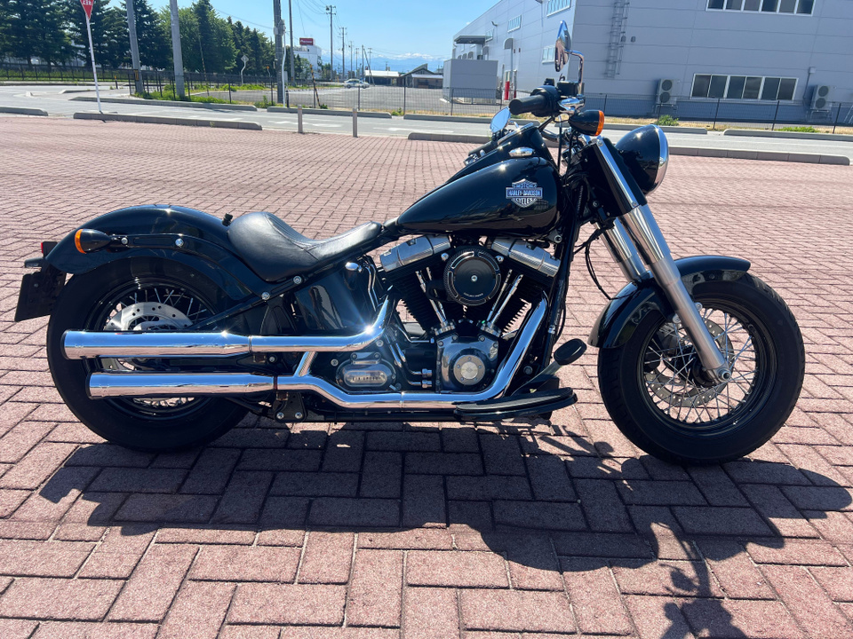 HARLEY-DAVIDSON FLS