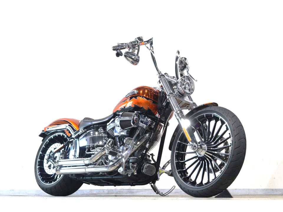 HARLEY-DAVIDSON FXSBSE CVO