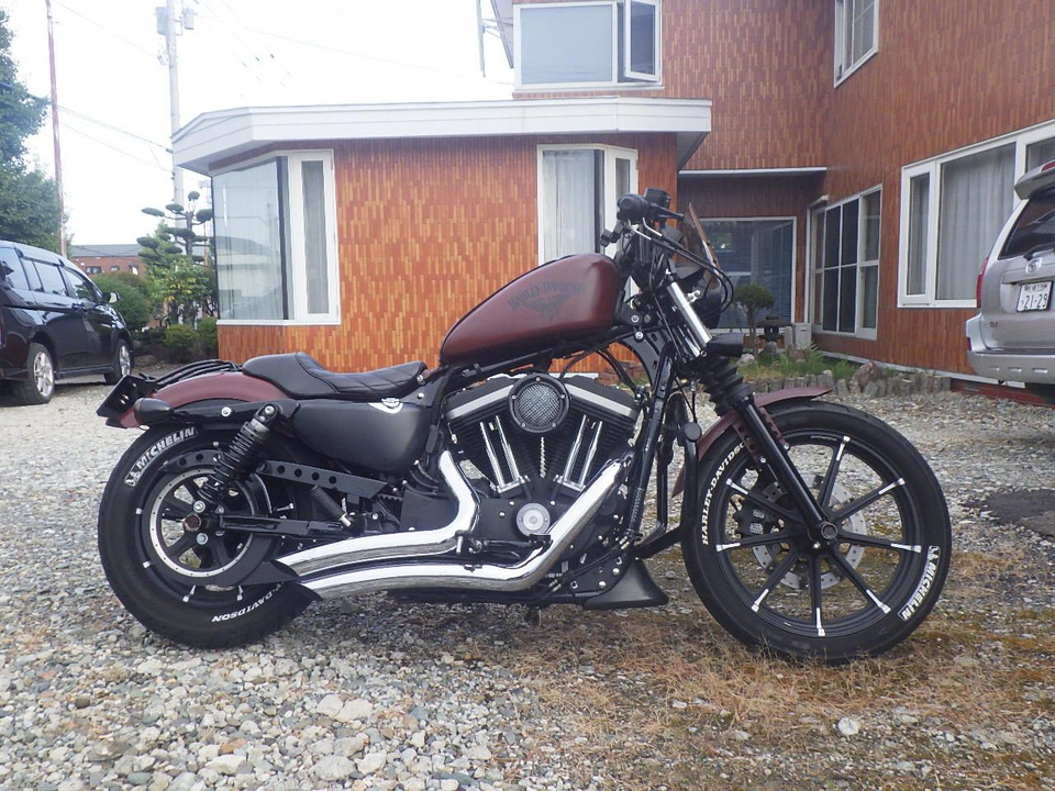 HARLEY-DAVIDSON XL883 N Iron