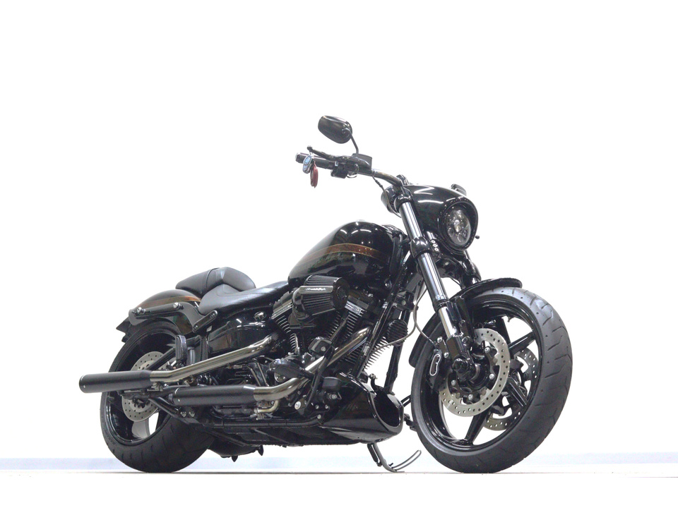HARLEY-DAVIDSON FXSE CVO