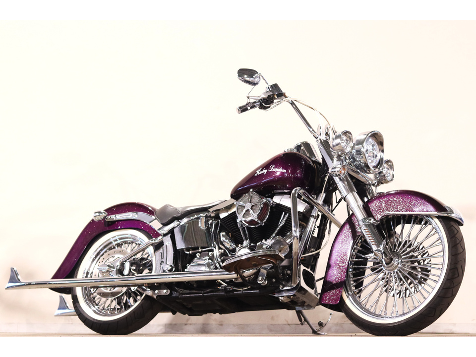 HARLEY-DAVIDSON FLS