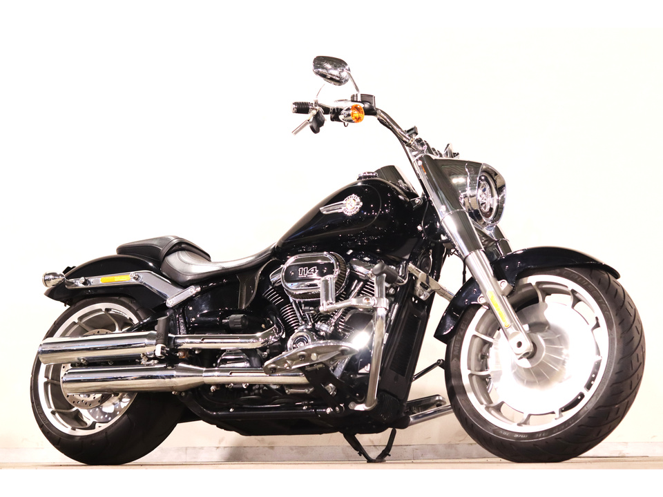 HARLEY-DAVIDSON FLFBS