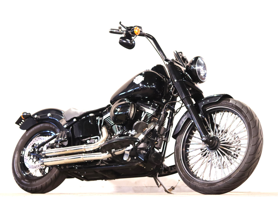 HARLEY-DAVIDSON FLSS