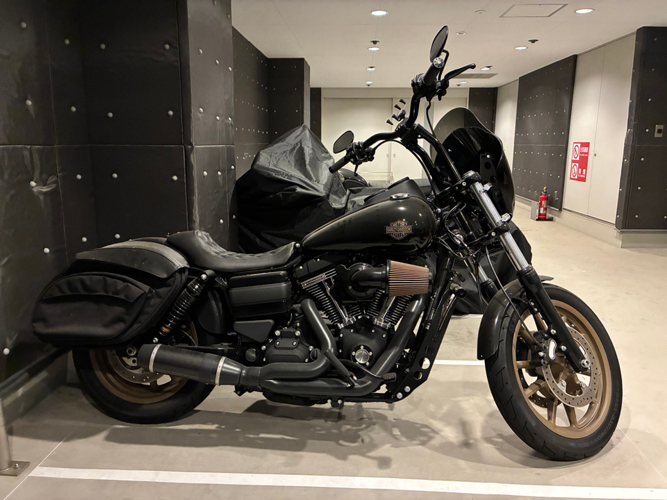 HARLEY-DAVIDSON FXDLS