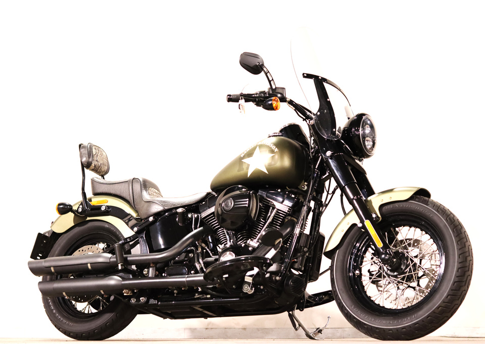 HARLEY-DAVIDSON FLSS