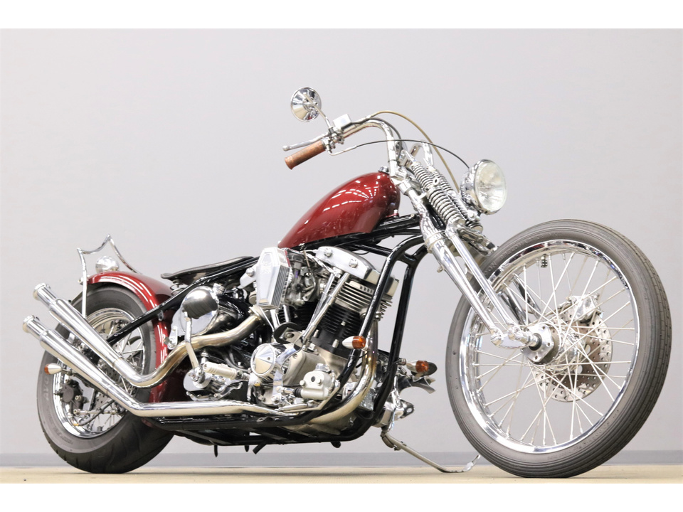HARLEY-DAVIDSON
