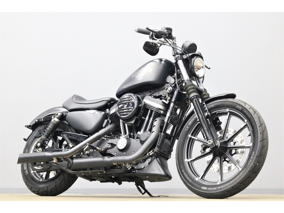 HARLEY-DAVIDSON XL883 N Iron
