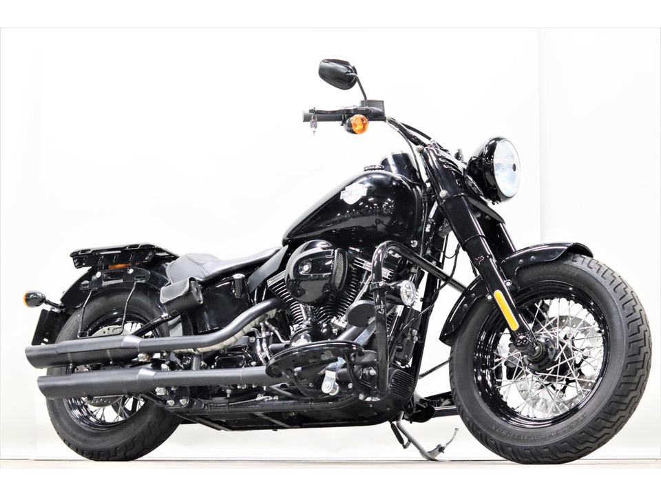 HARLEY-DAVIDSON FLSS