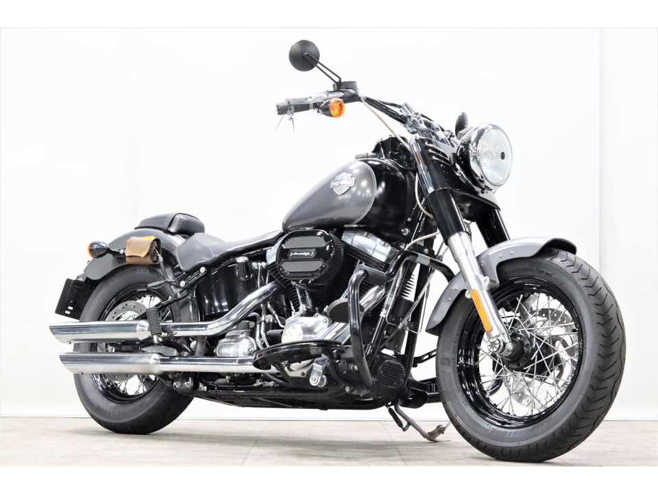 HARLEY-DAVIDSON FLS